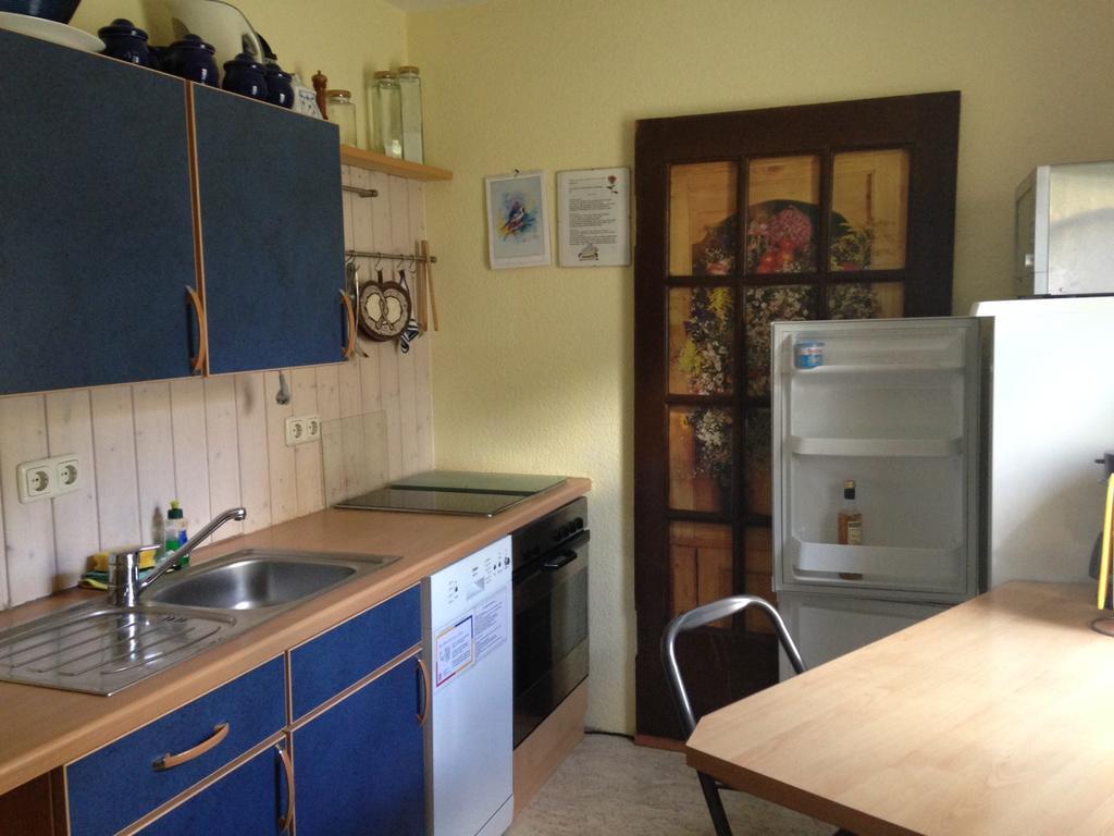 Haus Rennsteigrose Apartment Steinheid Екстериор снимка