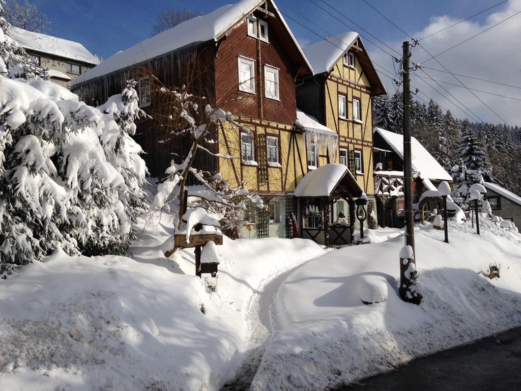 Haus Rennsteigrose Apartment Steinheid Екстериор снимка